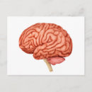 Recherche de trois dimensions cartes postales 3d