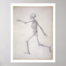 Zoek naar se posters Skelet