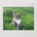 Recherche de lynn cartes postales Victoria lynn hall