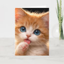 Recherche de toilettage vœux cartes Chat