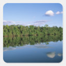 Recherche de amazone autocollants Forêt tropicale
