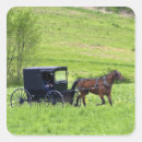 Recherche de amish autocollants Cheval