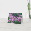 Recherche de mimosa vœux cartes Rose