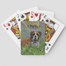 Recherche de boxer jeux de cartes Dog