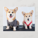 Zoek naar corgi card briefkaarten Huisdier