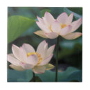 Recherche de lotus fleur carreaux Feuille