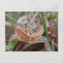 Recherche de corné cartes postales Corne