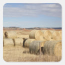 Zoek naar hooien stickers Platteland