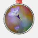 Recherche de san diego ornements Bleu