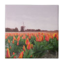 Zoek naar tulpen tegels Holland