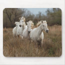 Recherche de camargue tapis souris Étalon