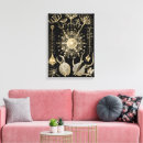 Recherche de ernst art Illustration