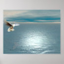 Zoek naar witte duif posters Religieus