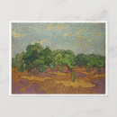 Recherche de oliviers cartes postales Vincent van gogh
