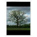 Recherche de arbre de ressort Feuille