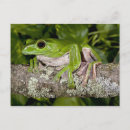 Zoek naar reuzen briefkaarten Natuur