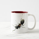 Recherche de fourmis tasses Bogues