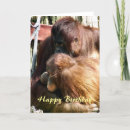 Recherche de orang outan vœux cartes Animaux