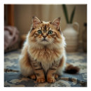 Recherche de perse posters Chat