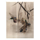 Recherche de canards art Nature