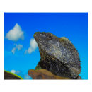 Recherche de lézard posters Animal