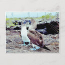 Recherche de îles galapagos cartes postales Unesco