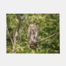 Recherche de hibou paillassons Rapace