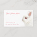Recherche de lapins cartes visite Lapin blanc