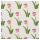 Recherche de rose de tulipe photographie Pour elle