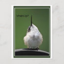 Recherche de oeil vert cartes postales Mignon