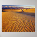 Zoek naar duinen posters Landschap