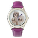 Recherche de tzu shih accessoires Animaux