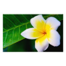 Recherche de spa posters Jaune