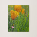Recherche de coquelicot puzzles Fleur