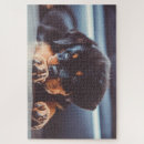 Recherche de chien rottweiler puzzles Chiot
