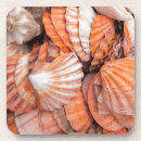 Recherche de key west dessous de verres Floride