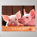 Recherche de porcelets posters Drôle