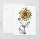 Recherche de tournesols cartes postales Botanique