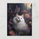 Recherche de angora cartes postales Chats