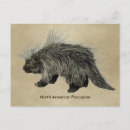Recherche de pap cartes postales Nature