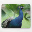Recherche de roches tapis souris Image de couleur
