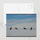 Recherche de oiseaux sur un fil cartes postales Toute personne
