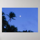 Recherche de allumé art Dehors