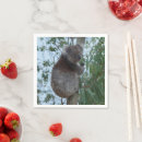 Recherche de marsupiaux serviettes Animal