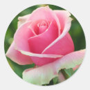 Recherche de occasions spéciales autocollants Amour