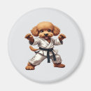 Recherche de karate magnets Mignon