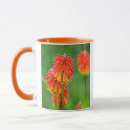 Recherche de premier plan tasses Personne