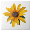 Recherche de flowers ceramic carreaux Floral