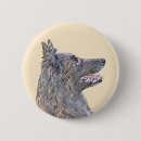 Recherche de belge badges Dog