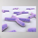 Recherche de microbiologie posters Grossissement